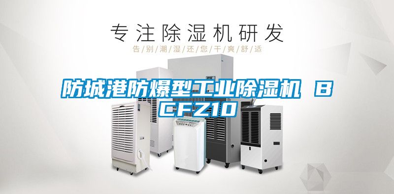 防城港防爆型工業91看片在线下载機 BCFZ10