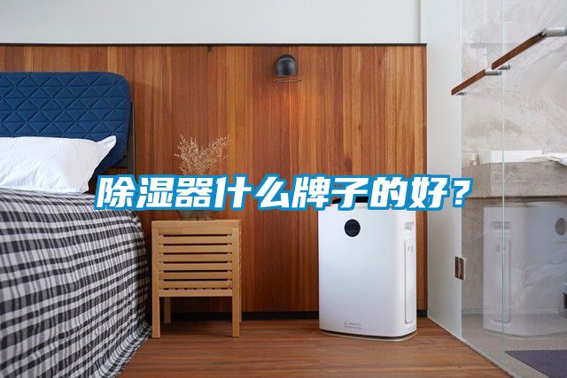 91看片在线下载器什麽牌子的好？