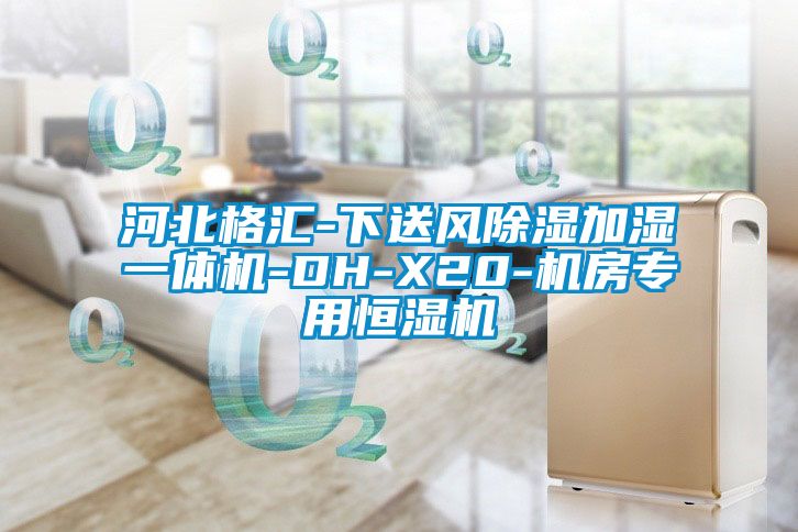 河北格匯-下送風91看片在线下载加濕一體機-DH-X20-機房專用恒濕機
