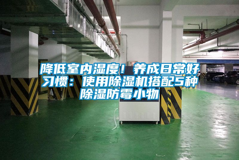 降低室內濕度！養成日常好習慣：使用91看片在线下载機搭配5種91看片在线下载防黴小物