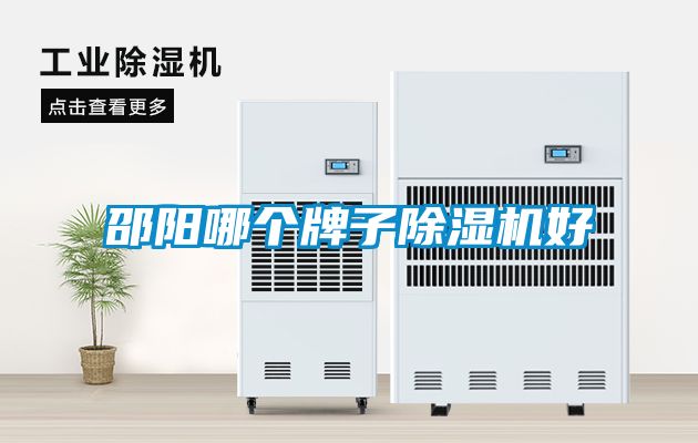 邵陽哪個牌子91看片在线下载機好