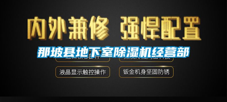 那坡縣地下室91看片在线下载機經營部