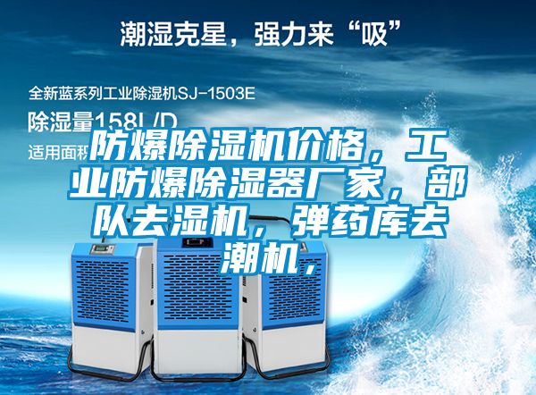 防爆91看片在线下载機價格，工業防爆91看片在线下载器廠家，部隊去濕機，彈藥庫去潮機，
