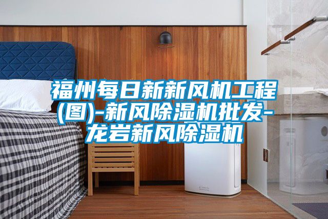 福州每日新新風機工程(圖)-新風91看片在线下载機批發-龍岩新風91看片在线下载機