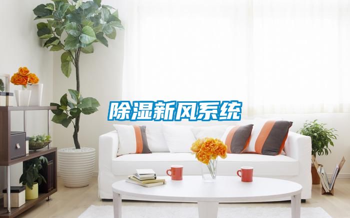 91看片在线下载新風係統
