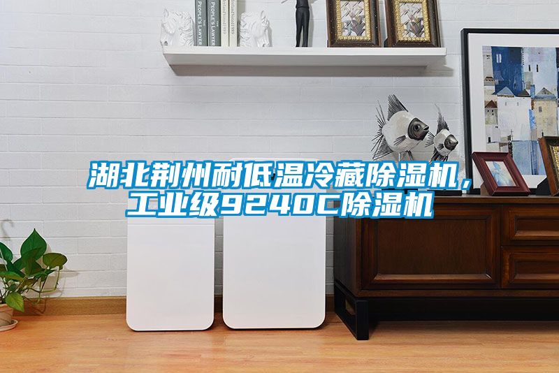 湖北荊州耐低溫冷藏91看片在线下载機，工業級9240C91看片在线下载機
