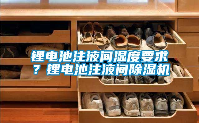 鋰電池注液間濕度要求？鋰電池注液間91看片在线下载機