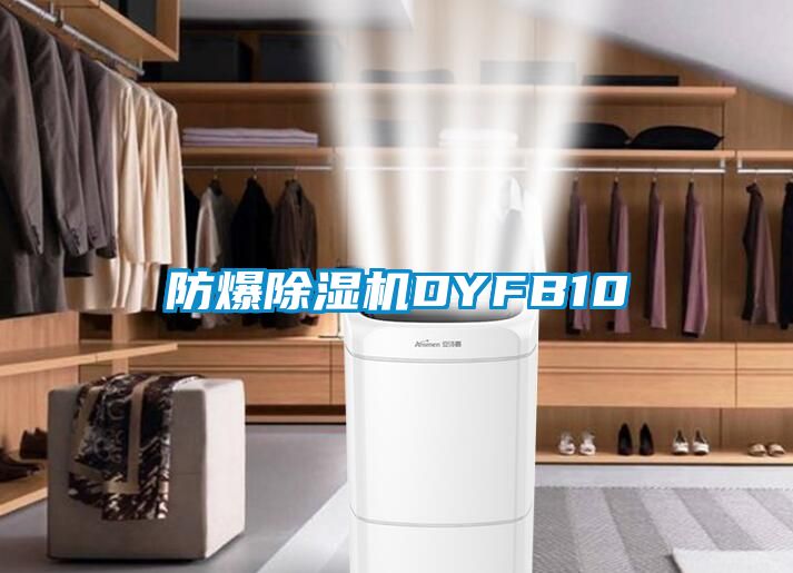 防爆91看片在线下载機DYFB10