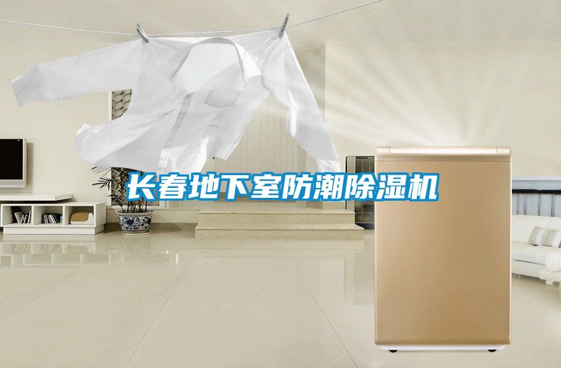長春地下室防潮91看片在线下载機
