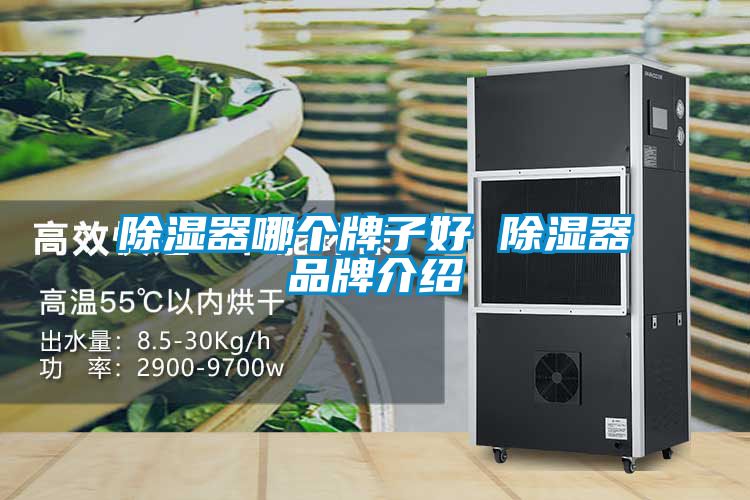 91看片在线下载器哪個牌子好 91看片在线下载器品牌介紹