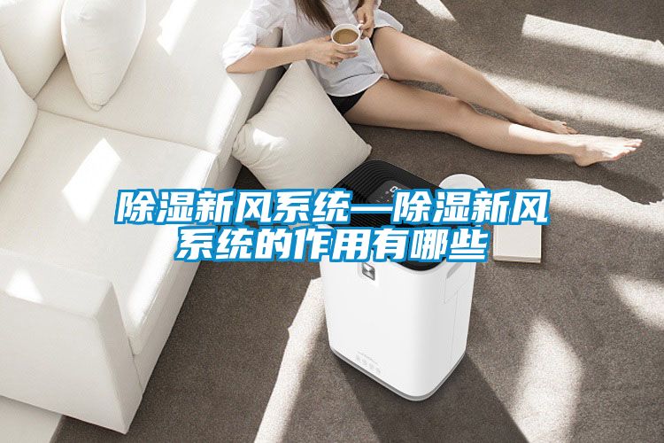 91看片在线下载新風係統—91看片在线下载新風係統的作用有哪些