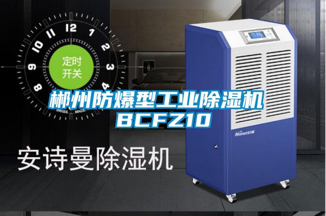 郴州防爆型工業91看片在线下载機 BCFZ10