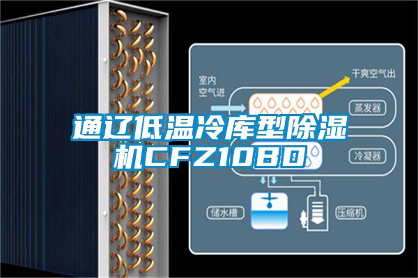 通遼低溫冷庫型91看片在线下载機CFZ10BD