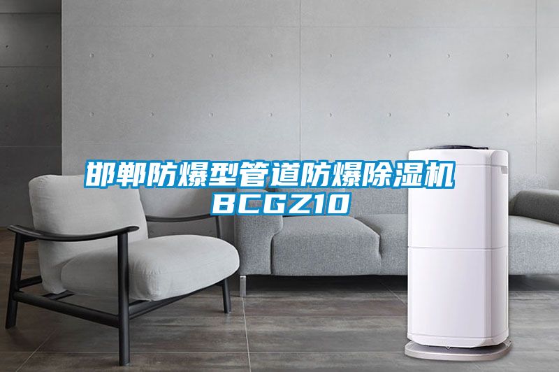 邯鄲防爆型管道防爆91看片在线下载機 BCGZ10