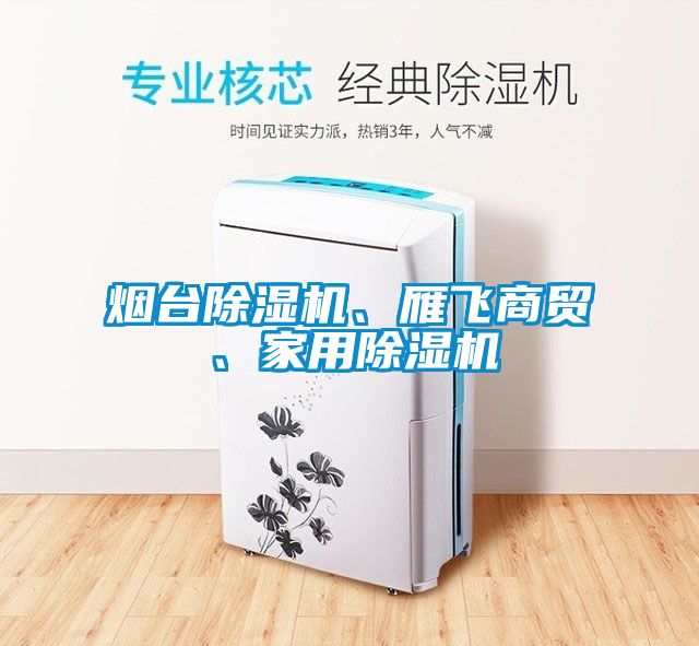 煙台91看片在线下载機、雁飛商貿、家用91看片在线下载機