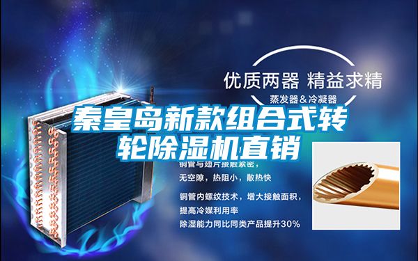 秦皇島新款組合式轉輪91看片在线下载機直銷