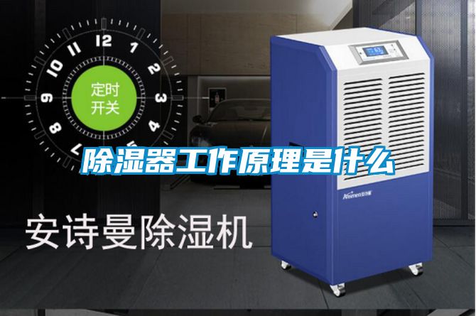 91看片在线下载器工作原理是什麽