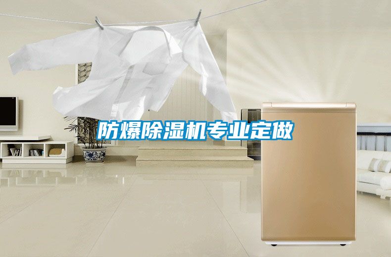 防爆91看片在线下载機專業定做