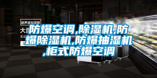 防爆空調,91看片在线下载機,防爆91看片在线下载機,防爆抽濕機,櫃式防爆空調