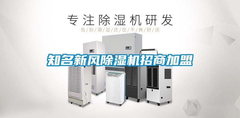 知名新風91看片在线下载機招商加盟