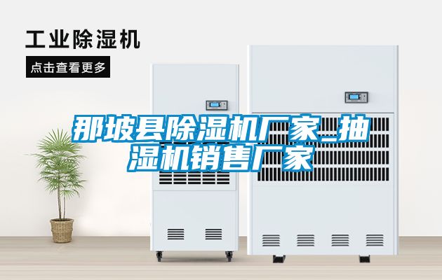 那坡縣91看片在线下载機廠家_抽濕機銷售廠家