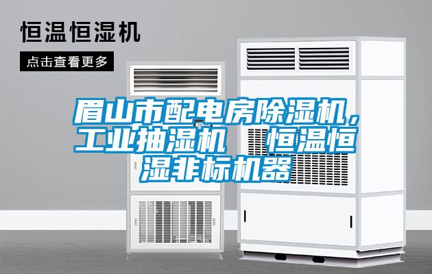 眉山市配電房91看片在线下载機，工業抽濕機  恒溫恒濕非標機器