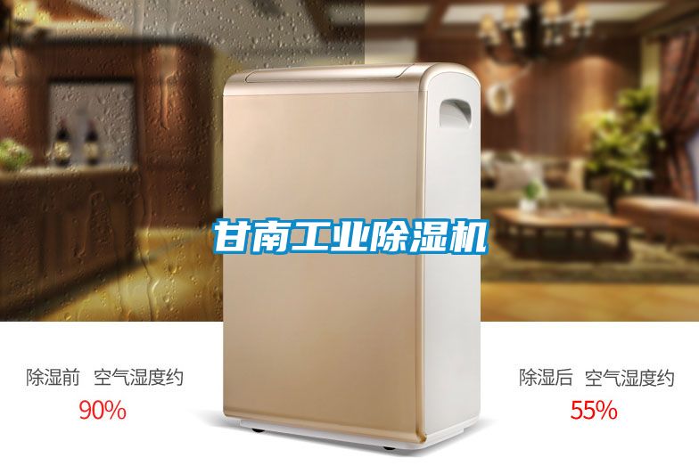 甘南工業91看片在线下载機