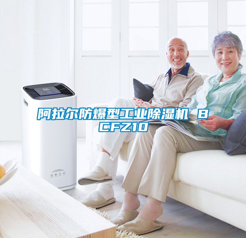 阿拉爾防爆型工業91看片在线下载機 BCFZ10