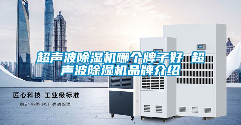 超聲波91看片在线下载機哪個牌子好 超聲波91看片在线下载機品牌介紹