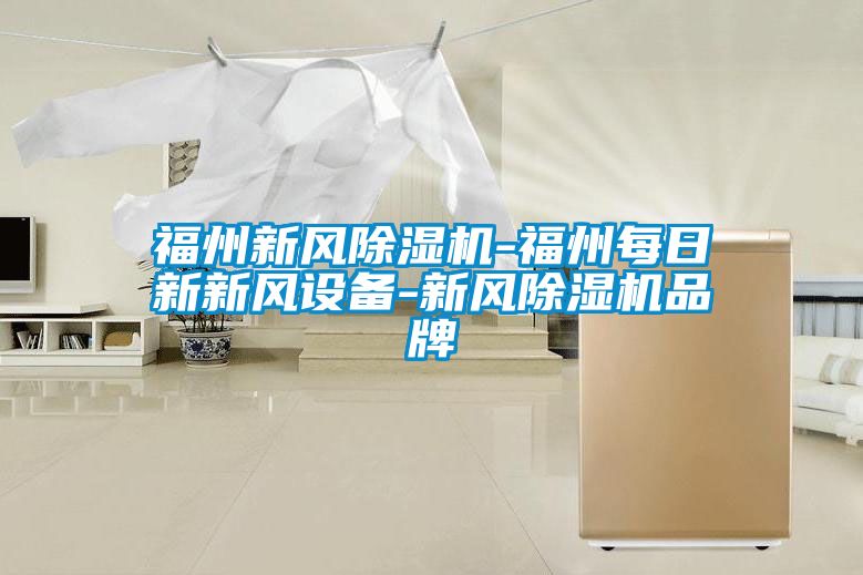 福州新風91看片在线下载機-福州每日新新風設備-新風91看片在线下载機品牌