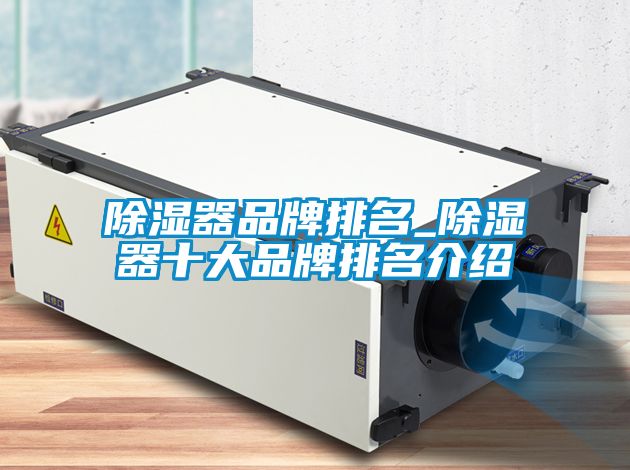 91看片在线下载器品牌排名_91看片在线下载器十大品牌排名介紹