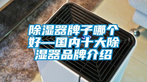 91看片在线下载器牌子哪個好—國內十大91看片在线下载器品牌介紹
