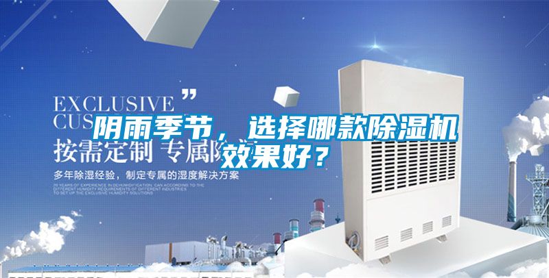 陰雨季節，選擇哪款91看片在线下载機效果好？