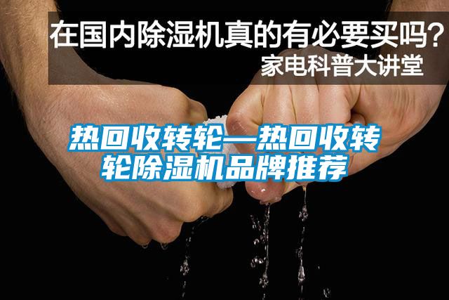 熱回收轉輪—熱回收轉輪91看片在线下载機品牌推薦