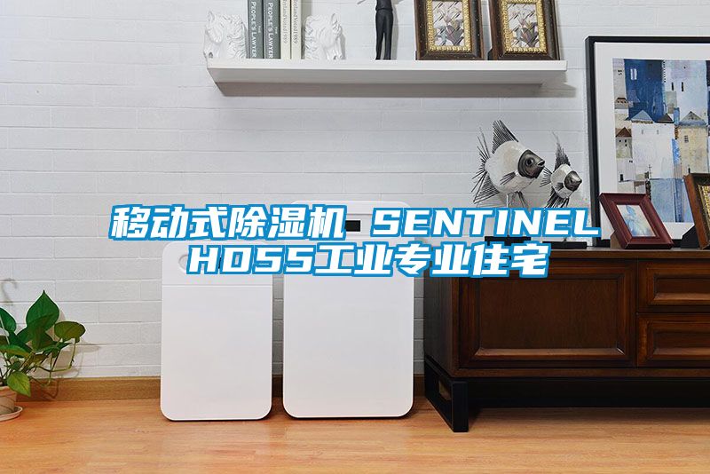 移動式91看片在线下载機 SENTINEL HD55工業專業住宅