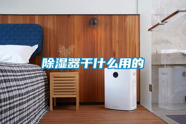 91看片在线下载器幹什麽用的