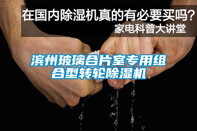 濱州玻璃合片室專用組合型轉輪91看片在线下载機