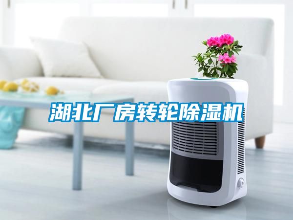 湖北廠房轉輪91看片在线下载機