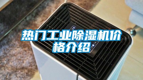 熱門工業91看片在线下载機價格介紹