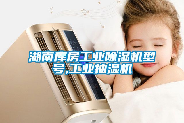 湖南庫房工業91看片在线下载機型號,工業抽濕機