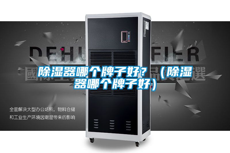 91看片在线下载器哪個牌子好？（91看片在线下载器哪個牌子好）