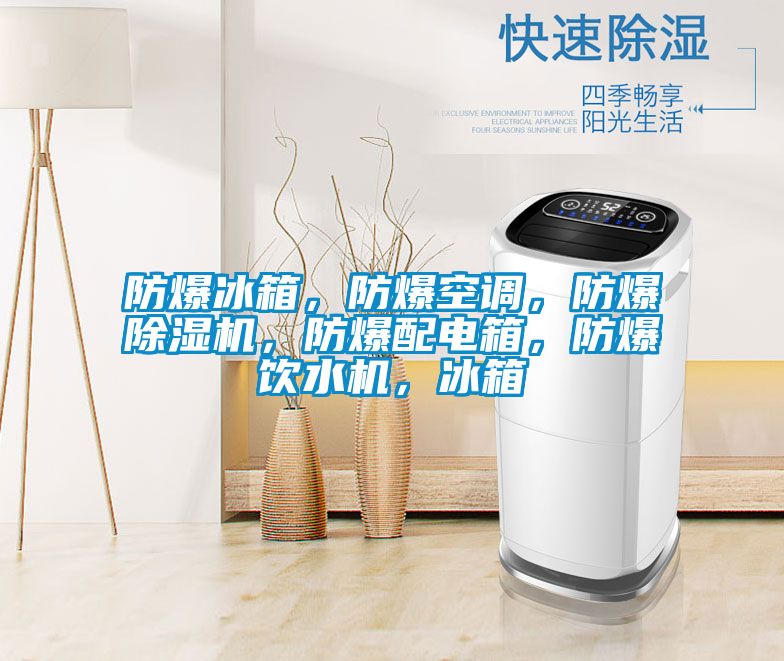 防爆冰箱，防爆空調，防爆91看片在线下载機，防爆配電箱，防爆飲水機，冰箱