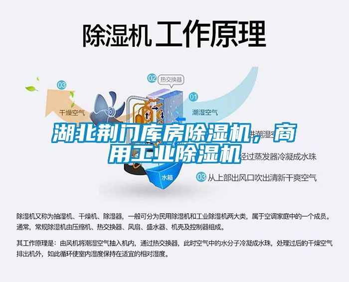湖北荊門庫房91看片在线下载機，商用工業91看片在线下载機