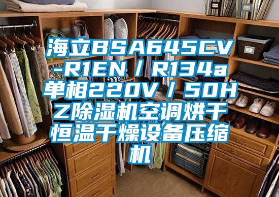 海立BSA645CV-R1EN／R134a單相220V／50HZ91看片在线下载機空調烘幹恒溫幹燥設備壓縮機