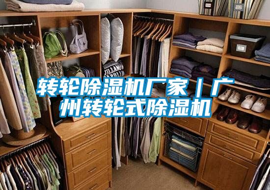 轉輪91看片在线下载機廠家｜廣州轉輪式91看片在线下载機