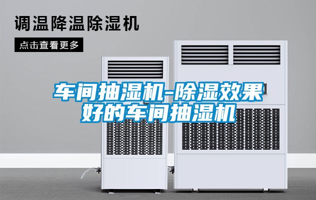 車間抽濕機-91看片在线下载效果好的車間抽濕機