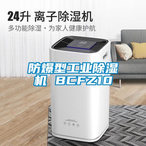 防爆型工業91看片在线下载機 BCFZ10