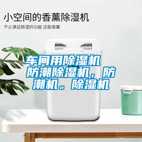 車間用91看片在线下载機  防潮91看片在线下载機，防潮機。91看片在线下载機