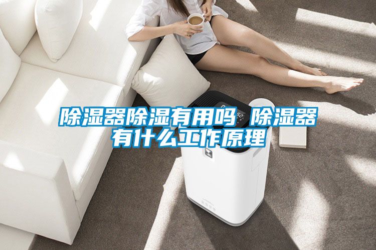 91看片在线下载器91看片在线下载有用嗎 91看片在线下载器有什麽工作原理