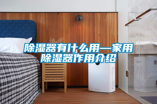 91看片在线下载器有什麽用—家用91看片在线下载器作用介紹